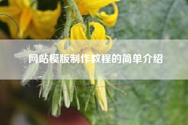 网站模版制作教程的简单介绍