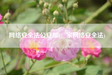 网络安全法公安部(囯家网络安全法)