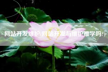 网站开发维护(网站开发与维护难学吗?)