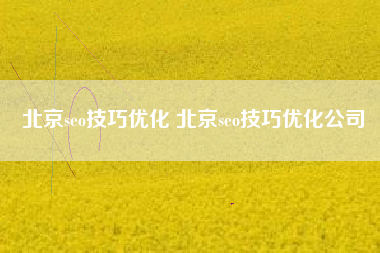 北京seo技巧优化 北京seo技巧优化公司