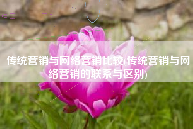 传统营销与网络营销比较(传统营销与网络营销的联系与区别)