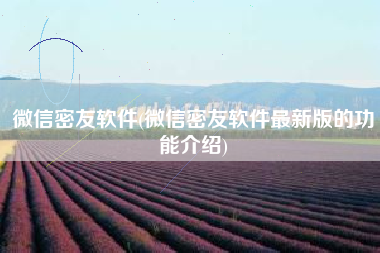 微信密友软件(微信密友软件最新版的功能介绍)
