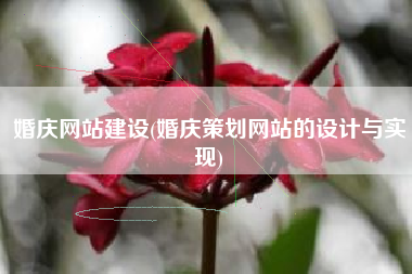 婚庆网站建设(婚庆策划网站的设计与实现)