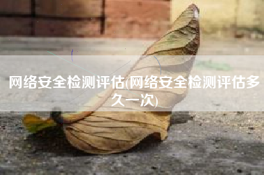 网络安全检测评估(网络安全检测评估多久一次)