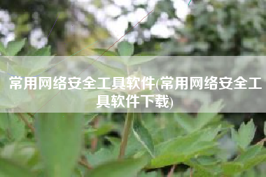 常用网络安全工具软件(常用网络安全工具软件下载)