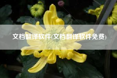 文档翻译软件(文档翻译软件免费)