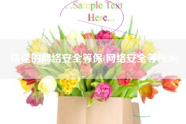 快速的网络安全等保(网络安全等保20)