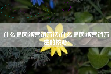 什么是网络营销方法(什么是网络营销方法的核心)