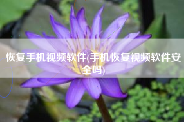 恢复手机视频软件(手机恢复视频软件安全吗)
