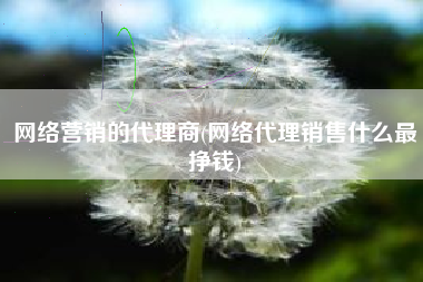 网络营销的代理商(网络代理销售什么最挣钱)