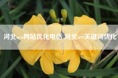 河北seo网站优化电话 河北seo关键词优化