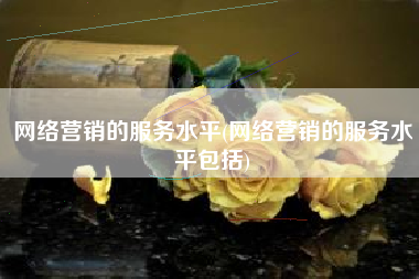 网络营销的服务水平(网络营销的服务水平包括)
