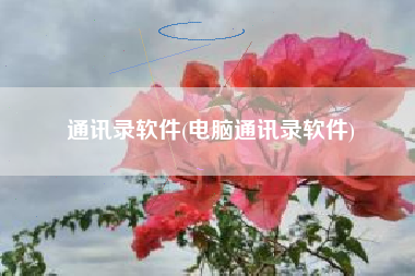 通讯录软件(电脑通讯录软件)