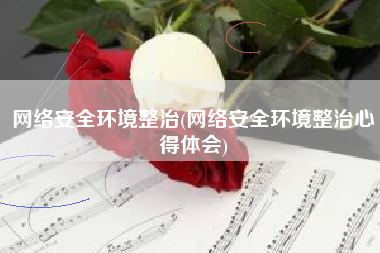 网络安全环境整治(网络安全环境整治心得体会)