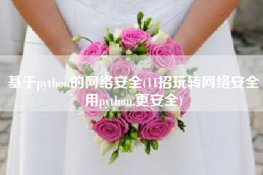 基于python的网络安全(11招玩转网络安全用python,更安全)