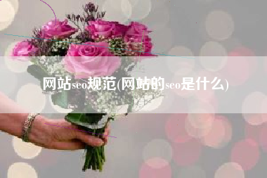 网站seo规范(网站的seo是什么)
