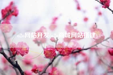 o2o网站开发(o2o商城网站搭建)