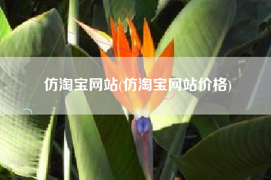 仿淘宝网站(仿淘宝网站价格)