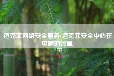 迈克菲网络安全服务(迈克菲安全中心在电脑的哪里)