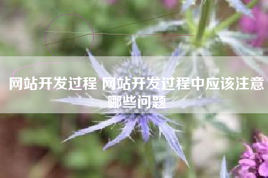 网站开发过程 网站开发过程中应该注意哪些问题