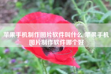 苹果手机制作图片软件叫什么 苹果手机图片制作软件哪个好