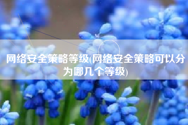 网络安全策略等级(网络安全策略可以分为哪几个等级)