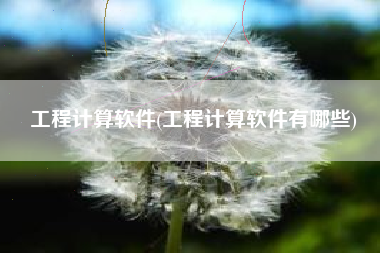 工程计算软件(工程计算软件有哪些)