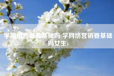 学网络营销要基础吗(学网络营销要基础吗女生)