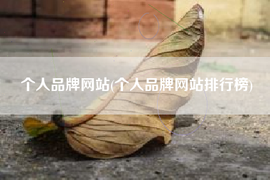 个人品牌网站(个人品牌网站排行榜)
