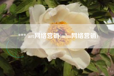 *** art网络营销(mlm网络营销)