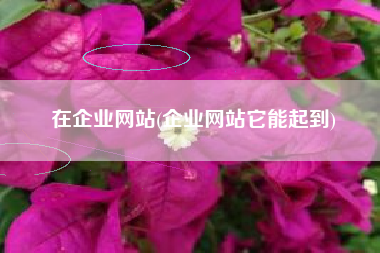 在企业网站(企业网站它能起到)