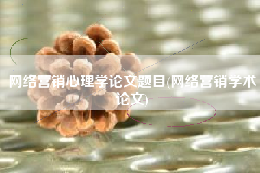 网络营销心理学论文题目(网络营销学术论文)