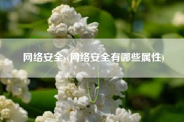 网络安全y(网络安全有哪些属性)