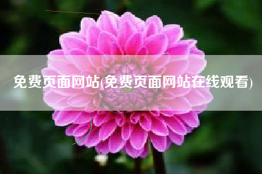 免费页面网站(免费页面网站在线观看)