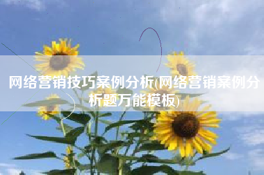 网络营销技巧案例分析(网络营销案例分析题万能模板)