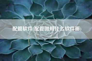 配管软件(配管图用什么软件画)