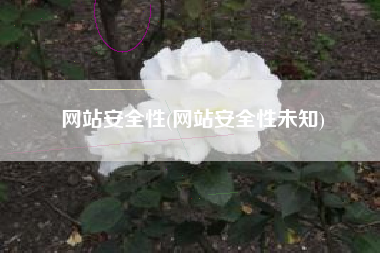 网站安全性(网站安全性未知)