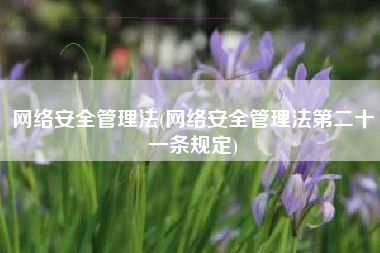 网络安全管理法(网络安全管理法第二十一条规定)