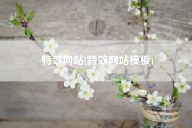 特效网站(特效网站模板)