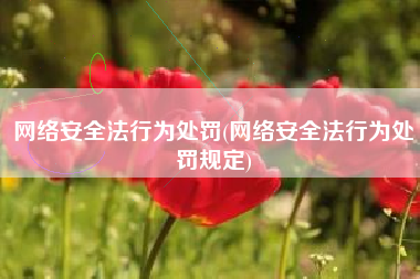 网络安全法行为处罚(网络安全法行为处罚规定)