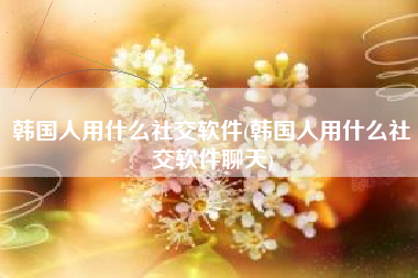韩国人用什么社交软件(韩国人用什么社交软件聊天)