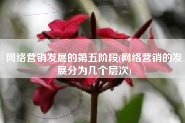 网络营销发展的第五阶段(网络营销的发展分为几个层次)