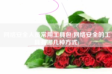 网络安全人员常用工具包(网络安全的工具有哪几种方式)
