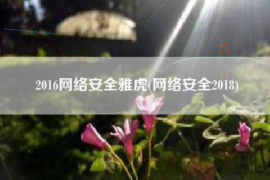 2016网络安全雅虎(网络安全2018)