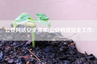 公安网络安全需求(公安网络安全工作)