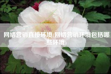 网络营销直接环境(网络营销环境包括哪些环境)