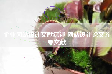 企业网站设计文献综述 网站设计论文参考文献
