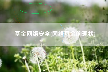 基金网络安全(网络基金的现状)