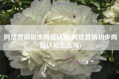 网络营销初步岗位认知(网络营销初步岗位认知怎么写)
