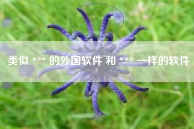 类似 *** 的外国软件 和 *** 一样的软件